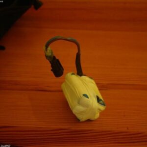 EPI